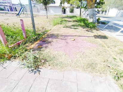 Plazas públicas: Abandono y vandalismo deterioran espacios públicos en Monclova