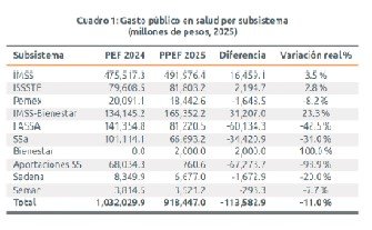 Impacto en el IMSS, ISSSTE y otras instituciones de salud