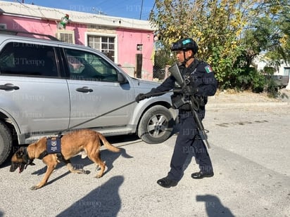 Intensifican búsqueda de Don Miguel “El Cuate” con tecnología y un K9 entrenado