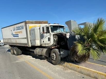 Chofer se duerme al volante y estrella camión contra palma y luminaria 