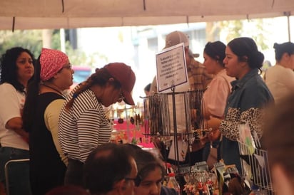 emprendedores : El IMM brindó espacios como el Paseo Colón, tianguis, bazares y mercaditos para apoyar la comercialización de sus productos