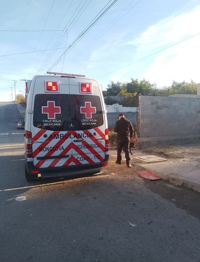 Policiaca : La esposa fue quien descubrió el cuerpo al despertar.