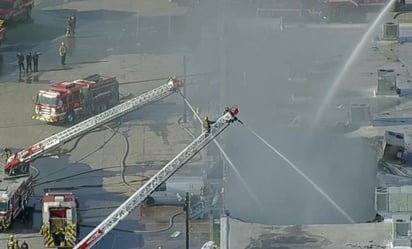 incendio : Los 579 animales de la tienda de mascotas en Plaza Latina, murieron por inhalación de humo. 