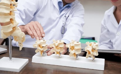 SALUD: Este estudio podría tener implicaciones significativas en la investigación y tratamiento de la osteoporosis