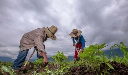 El frente frío 23 pone en alerta a productores y ganaderos de Coahuila