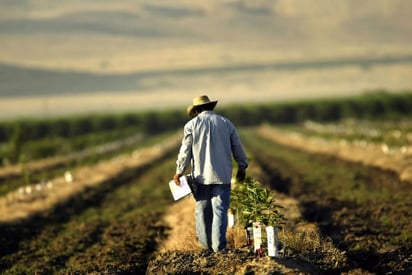 Frío: Se recomienda  atención en los equipos de trabajo que se manejen con agua, ya que, con las temperaturas bajo cero se congelan.