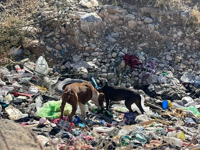 Basura: Esta práctica de tirar basura en la zona se ha hecho desde hace años.