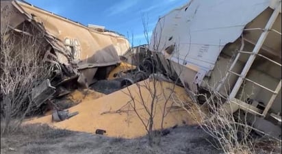 Accidente: Afortunadamente, no se registraron personas heridas, ya que el incidente solo afectó la carga del tren.