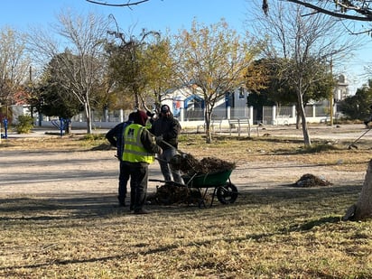 Municipio: El departamento de Limpieza, pero que tienen coordinación con personal de Alumbrado y Bacheo, trabajan en conjunto.