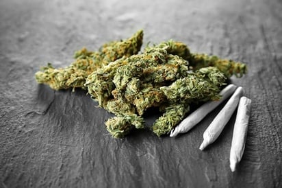 ENFERMEDADES: La adicción es un riesgo para los pacientes de marihuana medicinal

