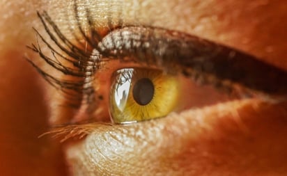 TECNOLOGÍA: ¿Sabías que el iris del ojo es un músculo?