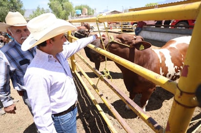 Chihuahua y Sonora autorizados a exportar ganado