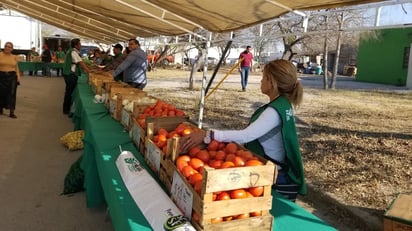 Familias se benefician con el programa Mi Mercadito en Valle Escondido