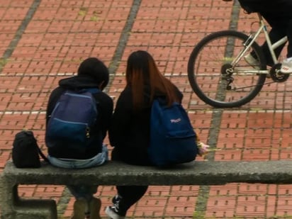 SALUD MENTAL : La UNAM señaló que tres de cada 10 jóvenes sufren violencia, siendo la psicológica la más predominante.
