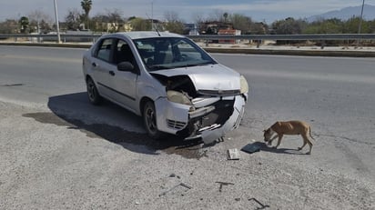 Accidente: El responsable se dio a la fuga.