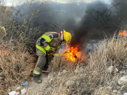 Siniestro : El viento dificultó los trabajos a los bomberos.