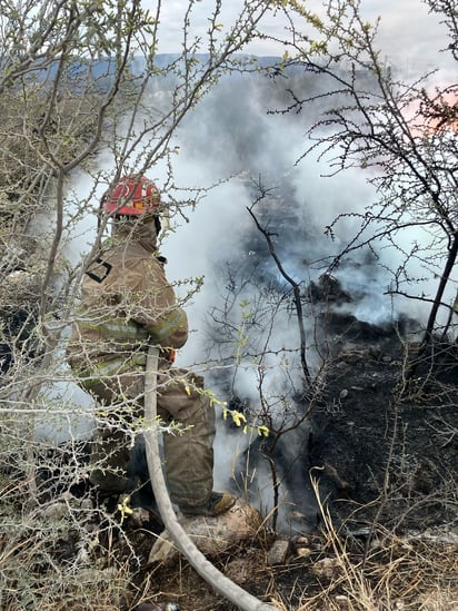 Siniestro : El viento dificultó los trabajos a los bomberos.