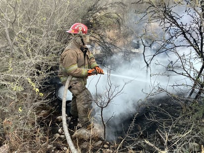 Siniestro : El viento dificultó los trabajos a los bomberos.