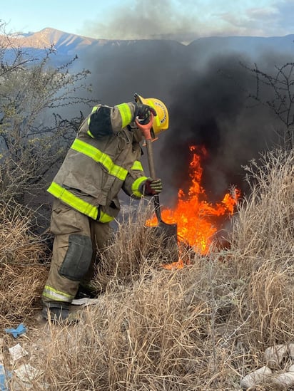 Siniestro : El viento dificultó los trabajos a los bomberos.