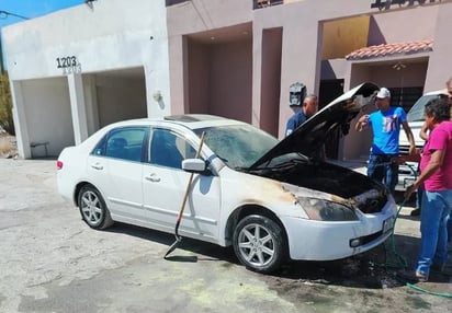 siniestro: Afortunadamente, el dueño logró apagar el fuego. 