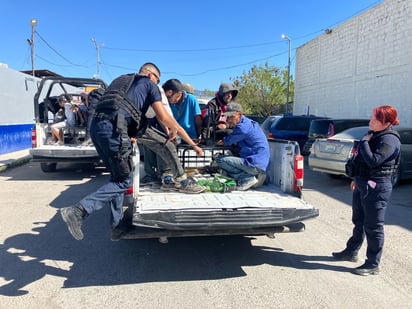 policiaca: Los detenidos quedaron a disposición del juez calificador en turno.