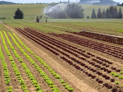 Conagua fortalece apoyos a usuarios hidroagrícolas