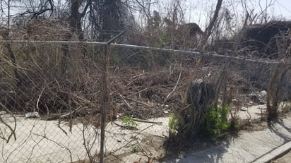 Malesa y abandono en terreno de calle Zaragoza preocupan a vecinos: Un terreno abandonado en la calle Zaragoza, en el centro de Piedras Negras, se ha convertido en un foco de malesa y abandono,