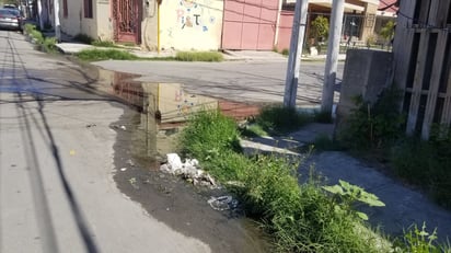 Fuga en Xicoténcatl genera estancamiento de agua y problemas sanitarios: Una fuga de agua en la calle Xicoténcatl de Piedras Negras ha generado un foco de infección debido al estancamiento del agua 