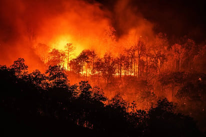 Protección Civil alerta sobre incendios en la región norte de Coahuila: La región norte de Coahuila se mantiene en alerta debido al aumento de incendios forestales registrados en lo que va del año.