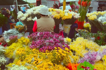 economía: Si suben los aranceles,  a la gente de Estados Unidos le van a costar más caras las flores.