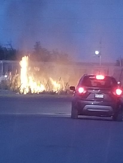 seguridad: Bomberos y Pc no se daban abasto