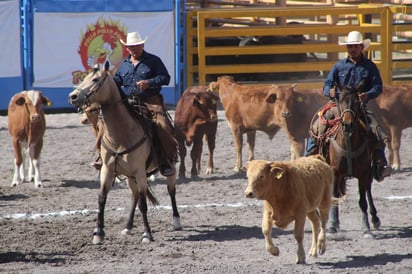 Tradición