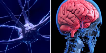 ENFERMEDADES ENFERMEDADES