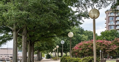 ENFERMEDADES ENFERMEDADES