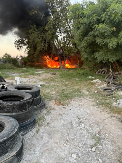 Contaminación  Contaminación