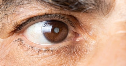 ENFERMEDADES ENFERMEDADES