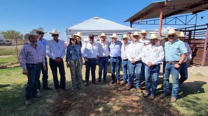 Ganadería  Ganadería