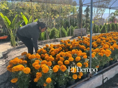 Día de Muertos
