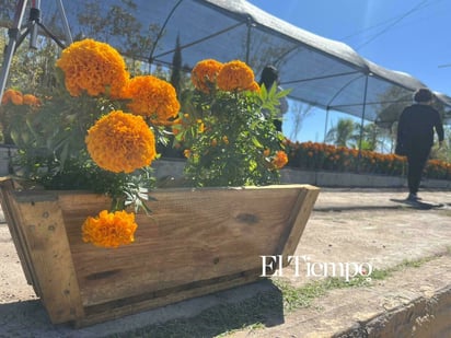 Día de Muertos