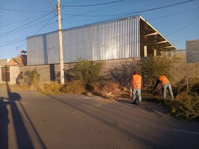 Ecología e Imagen Urbana