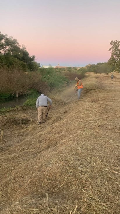 Ecología e Imagen Urbana