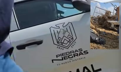 Presunto maltrato animal Presunto maltrato animal