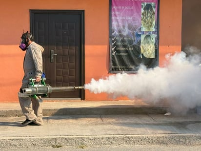 Dengue  Dengue