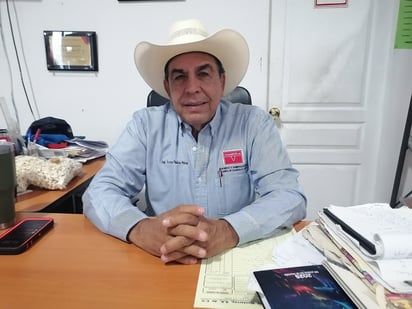 Gusano barrenador Gusano barrenador
