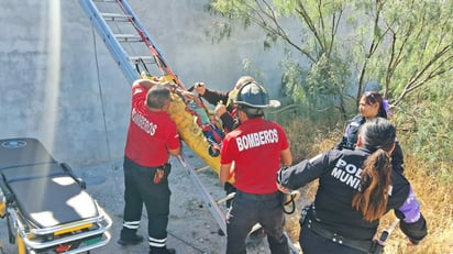 seguridad