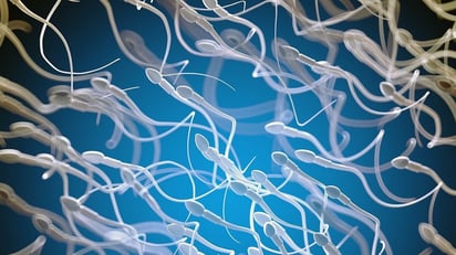 Primer embarazo exitoso tras análisis de esperma guiado por IA