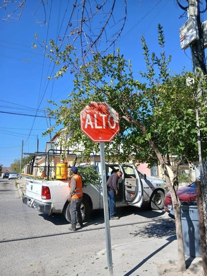 Ingeniería Vial