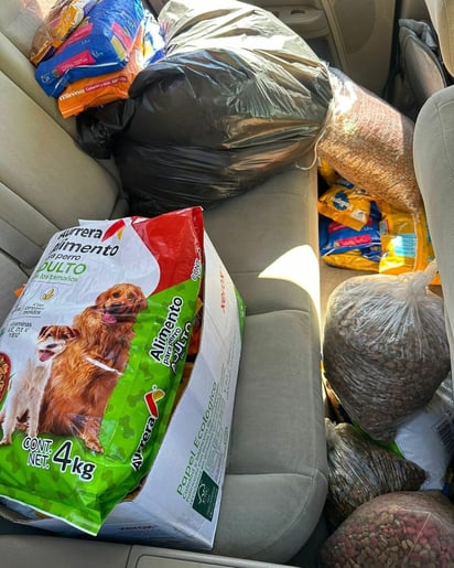 Centro de Bienestar Animal