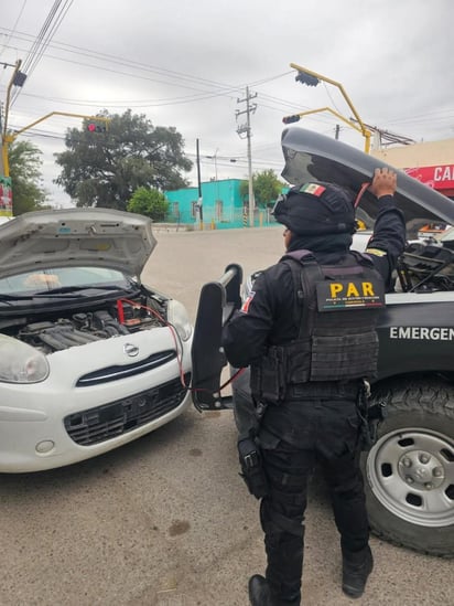 seguridad 