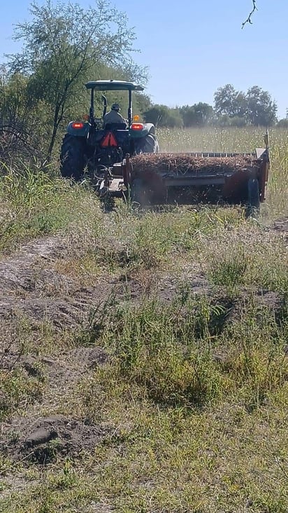 Desarrollo rural